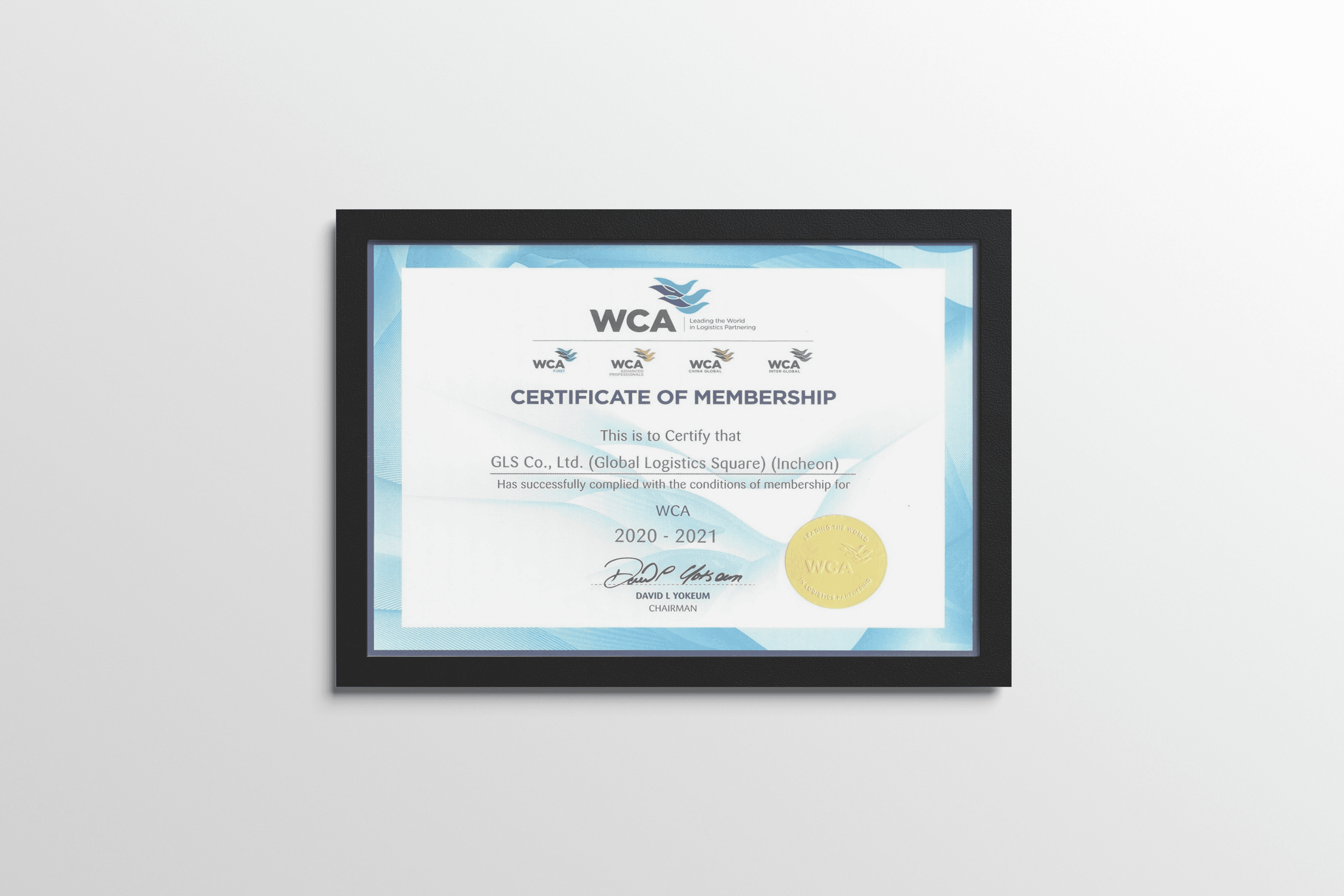 WCA member